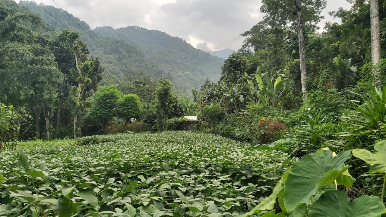 Eviana Homestay Darjeeling  Exteriör bild