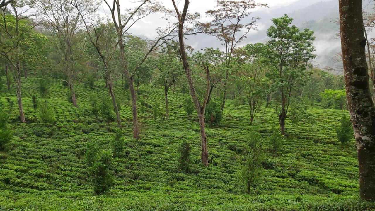 Eviana Homestay Darjeeling  Exteriör bild