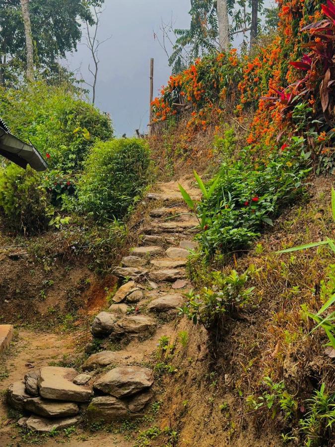 Eviana Homestay Darjeeling  Exteriör bild