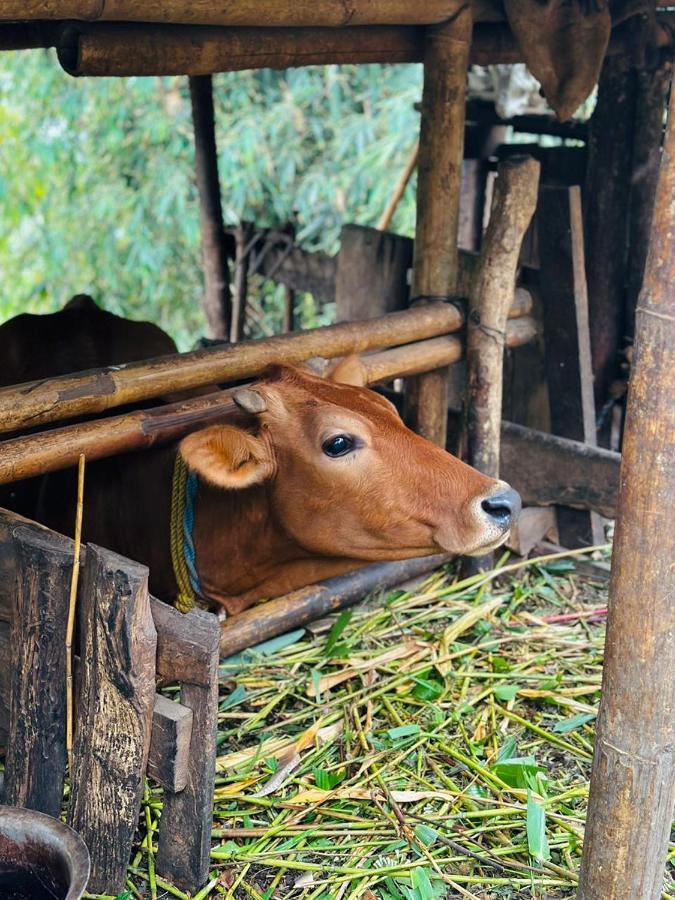 Eviana Homestay Darjeeling  Exteriör bild