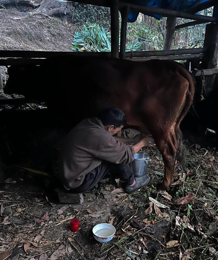 Eviana Homestay Darjeeling  Exteriör bild