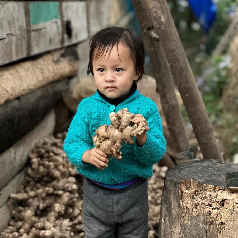 Eviana Homestay Darjeeling  Exteriör bild